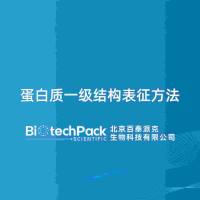 蛋白质一级结构表征方法