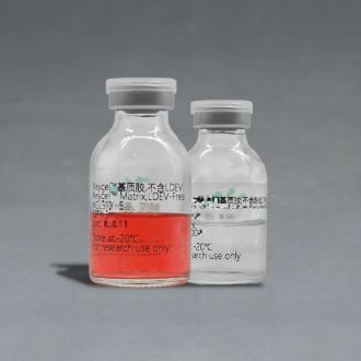 凯基 基质胶 KGL5103-10 10mL 低生长因子 无LDEV