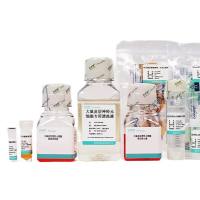 大鼠大隐静脉平滑肌细胞分离培养试剂盒(P-CA-610)