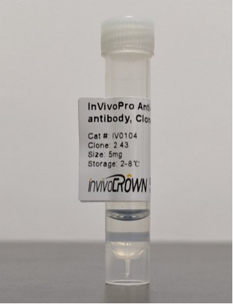 InvivoCrown-InVivoPro抗小鼠CD8α体内抗体，2.43克隆，为你的实验保驾护航！