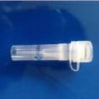 Anti-Histone H3 Mouse Monoclonal Antibody(2F3)内参抗体Histone H3小鼠源单克隆抗体