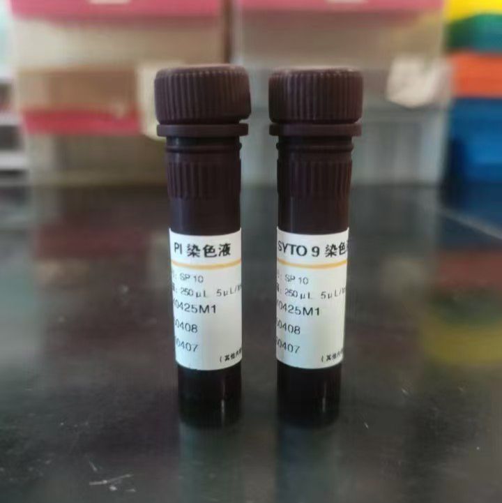 细菌死活检测试剂盒 ( SYTO 9/PI双染法 )