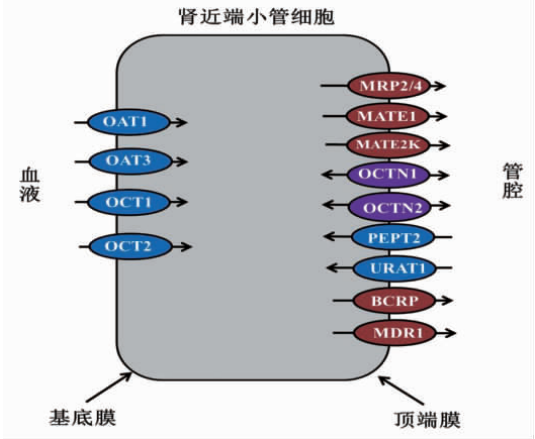 技术资料图片3
