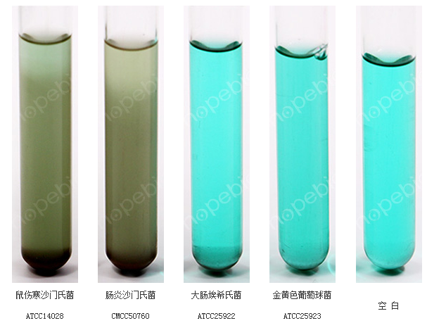 SBG培养基原理及现象