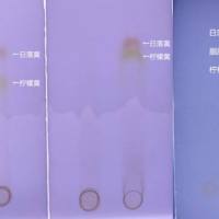 染色茶叶速测盒（柠檬黄-日落黄-胭脂红）