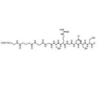  DSPE-PEG-Gly-Cys-Arg-Gly-Asp-Cys-Ser    DSPE-PEG