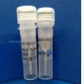 anti-Histone H3 Mouse Monoclonal Antibody(5G6)