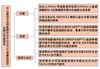 CD74high中性粒细胞激活抗肿瘤免疫并抑制非小细胞肺癌的进展