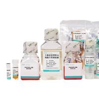 大鼠主动脉平滑肌细胞分离培养试剂盒(P-CA-607)