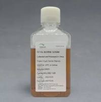 凯基 优级胎牛血清 KGL3002-50 1undefined50 ml