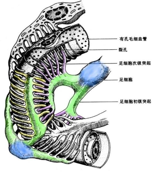 技术资料图片5