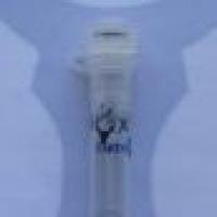 Anti-GST Tag Mouse Monoclonal Antibody(Mix)