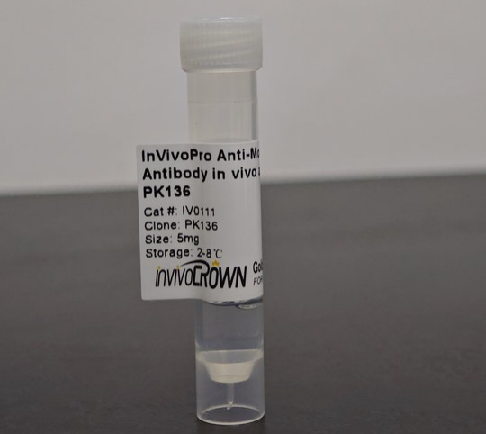 限时抢购！InvivoCrown-InVivoPro抗小鼠NK1.1（CD161）体内抗体，PK136克隆