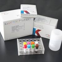 凯基 KGEHC146 KGEHC146-1 Human FGF-21 ELISA kit 