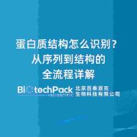 蛋白质结构怎么识别？从序列到结构的全流程详解