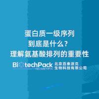 蛋白质一级序列到底是什么？理解氨基酸排列的重要性