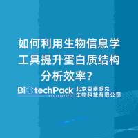 如何利用生物信息学工具提升蛋白质结构分析效率？