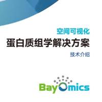 空间单细胞蛋白质组学服务