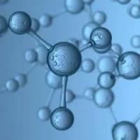 生物素标记抗体服务