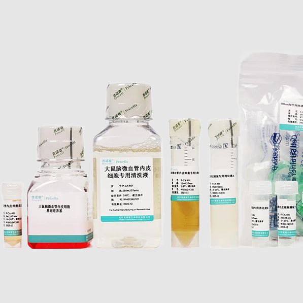 小鼠肝实质细胞分离培养试剂盒(P-CA-707)