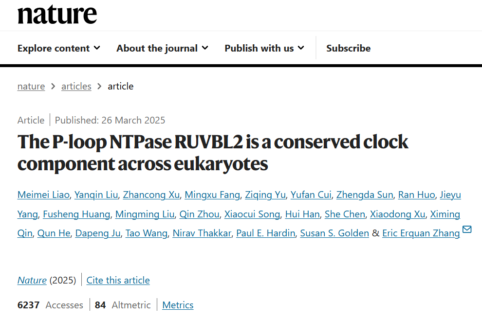 Nature！IF 50.5！清华大学张二荃团队首次揭示了RUVBL2调控真核生物钟的分子调节机制！