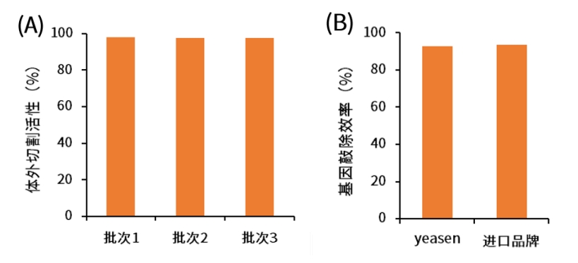 新闻图片3