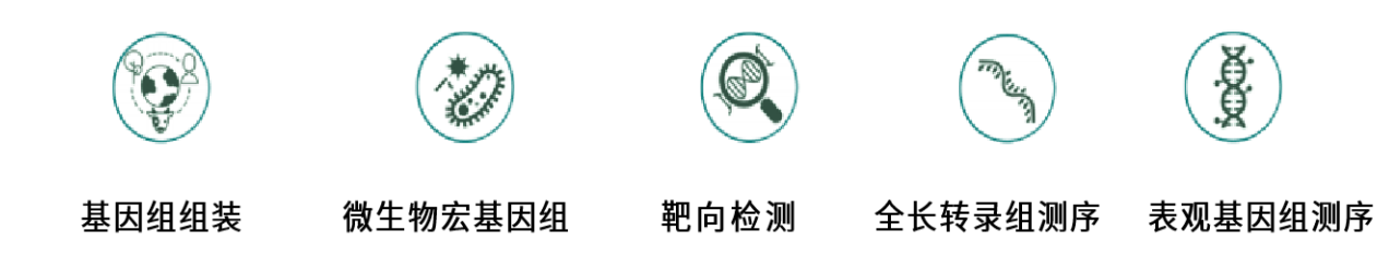 精品推荐 | 连接法建库试剂盒让三代测序文库构建更简化