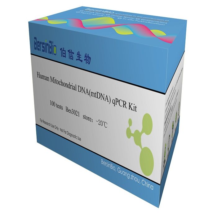 人线粒体DNA定量(qPCR法)试剂盒
