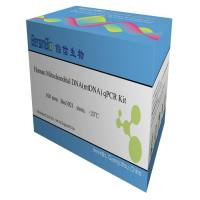 人线粒体DNA定量（qPCR法）试剂盒