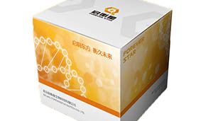 热销推荐：StarLighter DNA 宽范围检测试剂盒