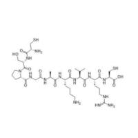 Cys-Ser-Pro-Gly-Ala-Lys-Val-Arg-Cys   UNO（CSPGAKVRC）   M2 型巨噬细胞靶向肽