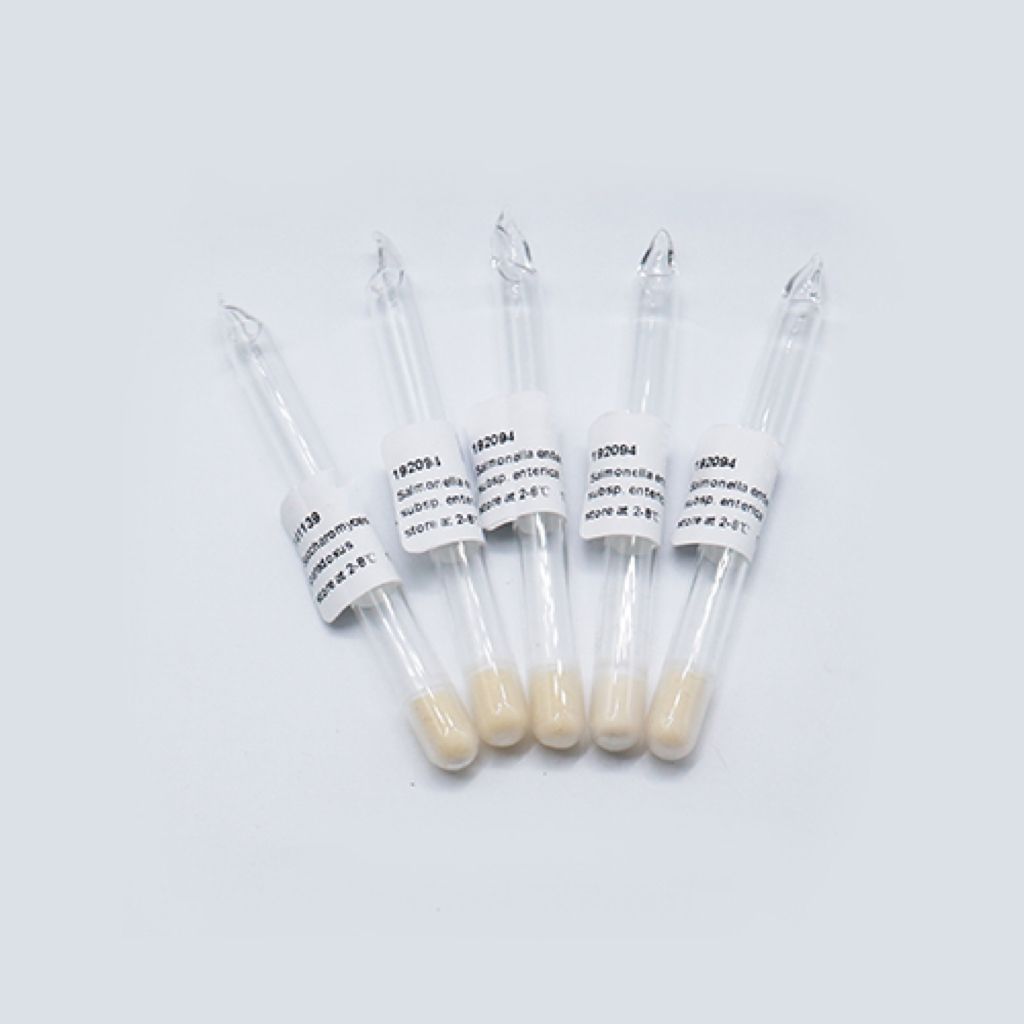 YEplac181质粒干粉