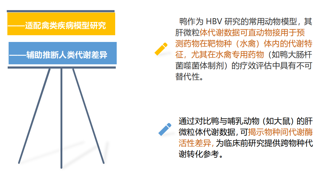 微粒体定制系列(二)——鸭肝微粒体Duck Liver Microsomes