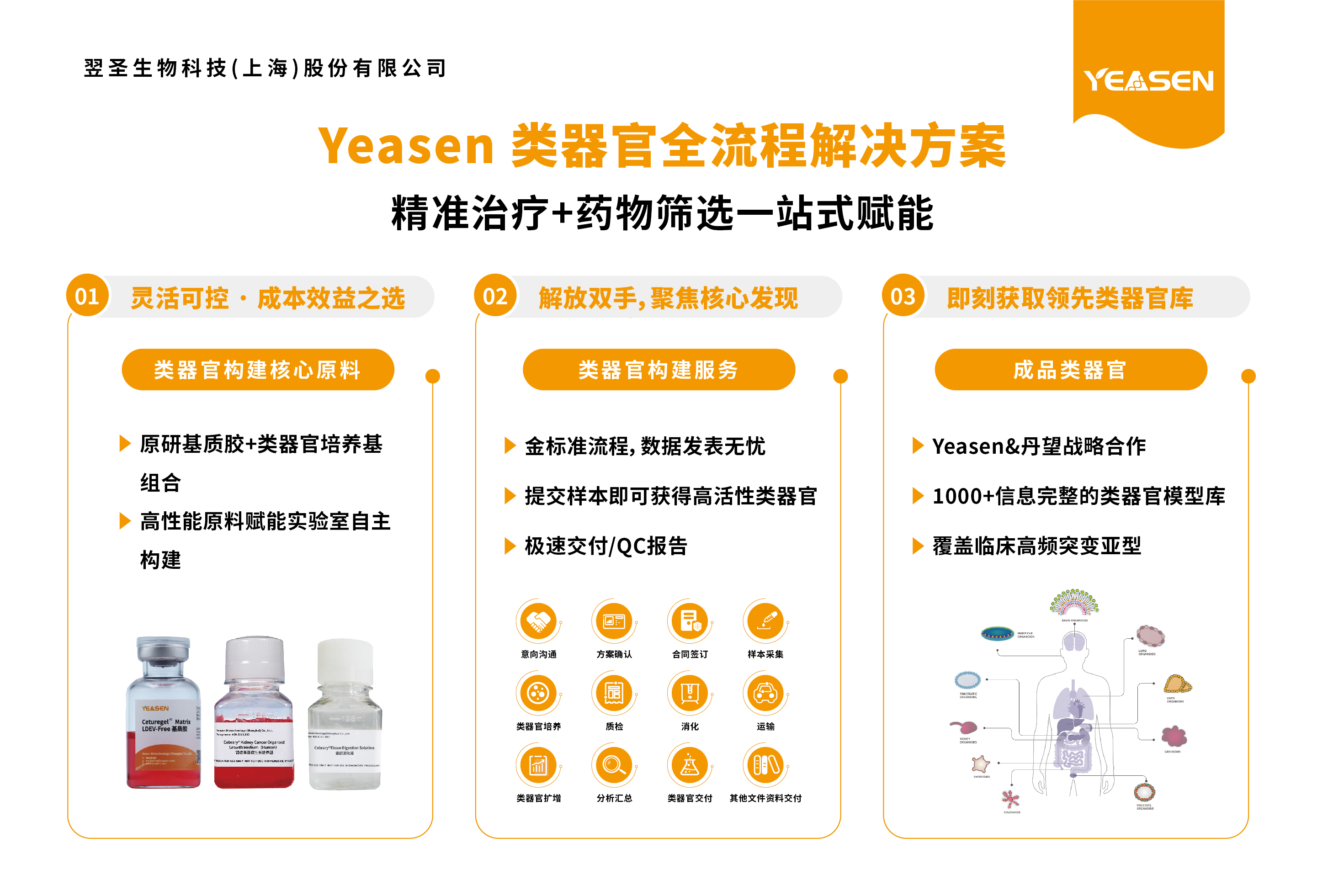 类器官解决方案全新升级！实现“全链条”赋能！