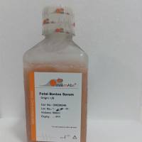 胎牛血清(FBS),美国来源,适合间充质干细胞