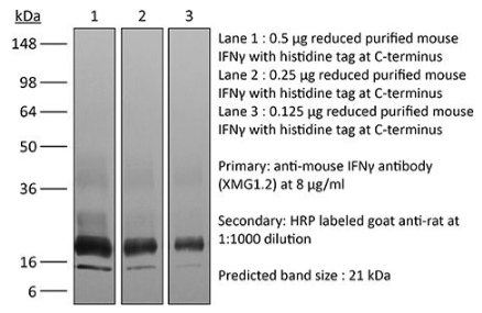 InVivoMAb抗小鼠IFNγ，超低折扣来袭