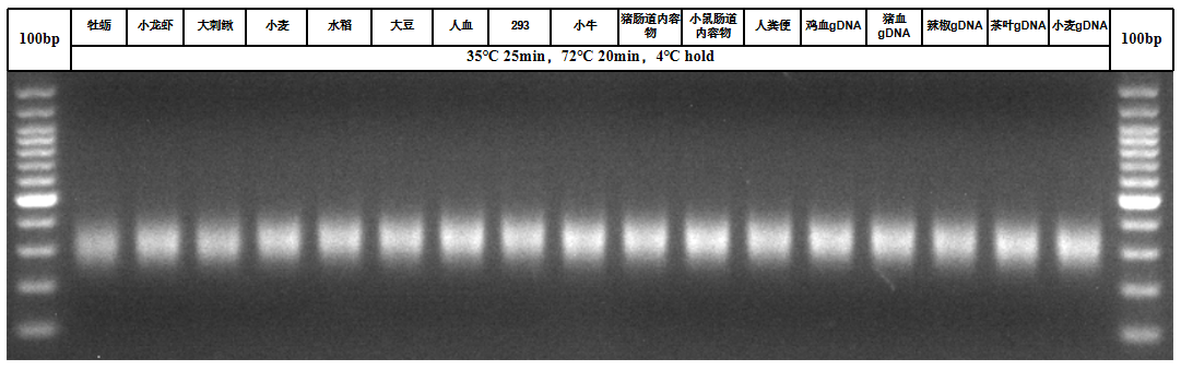 本土化生产实力，翌圣国产NGS建库试剂盒全产线应用超给力！