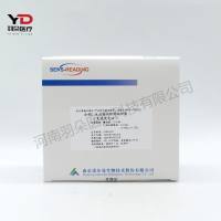 诺尔曼 全程C-反应蛋白检测试剂盒(免疫荧光法)