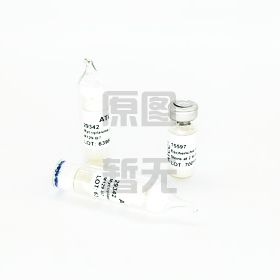  Pelistega ratti	产品图