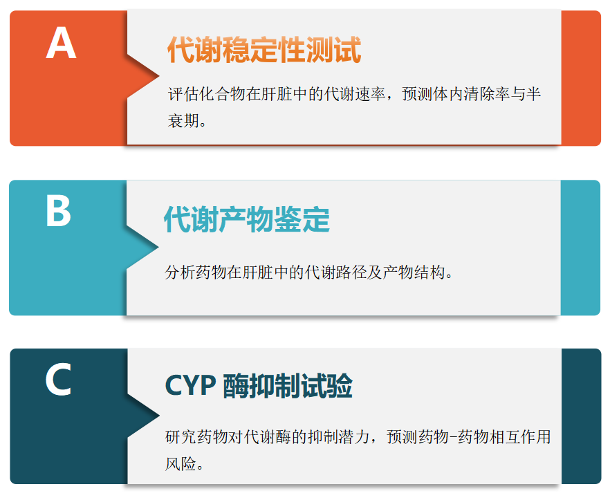 微粒体定制系列(二)——鸭肝微粒体Duck Liver Microsomes