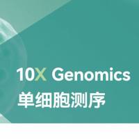 单细胞转录组 10X 5'