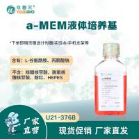 a-MEM液体培养基