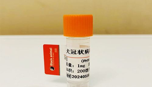 抗犬冠状病毒（CCV）抗体的制备及在 WB、免疫层析中的应用