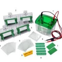 Bio-rad 1658001 小型垂直电泳槽 Mini-PROTEAN Tetra Cell