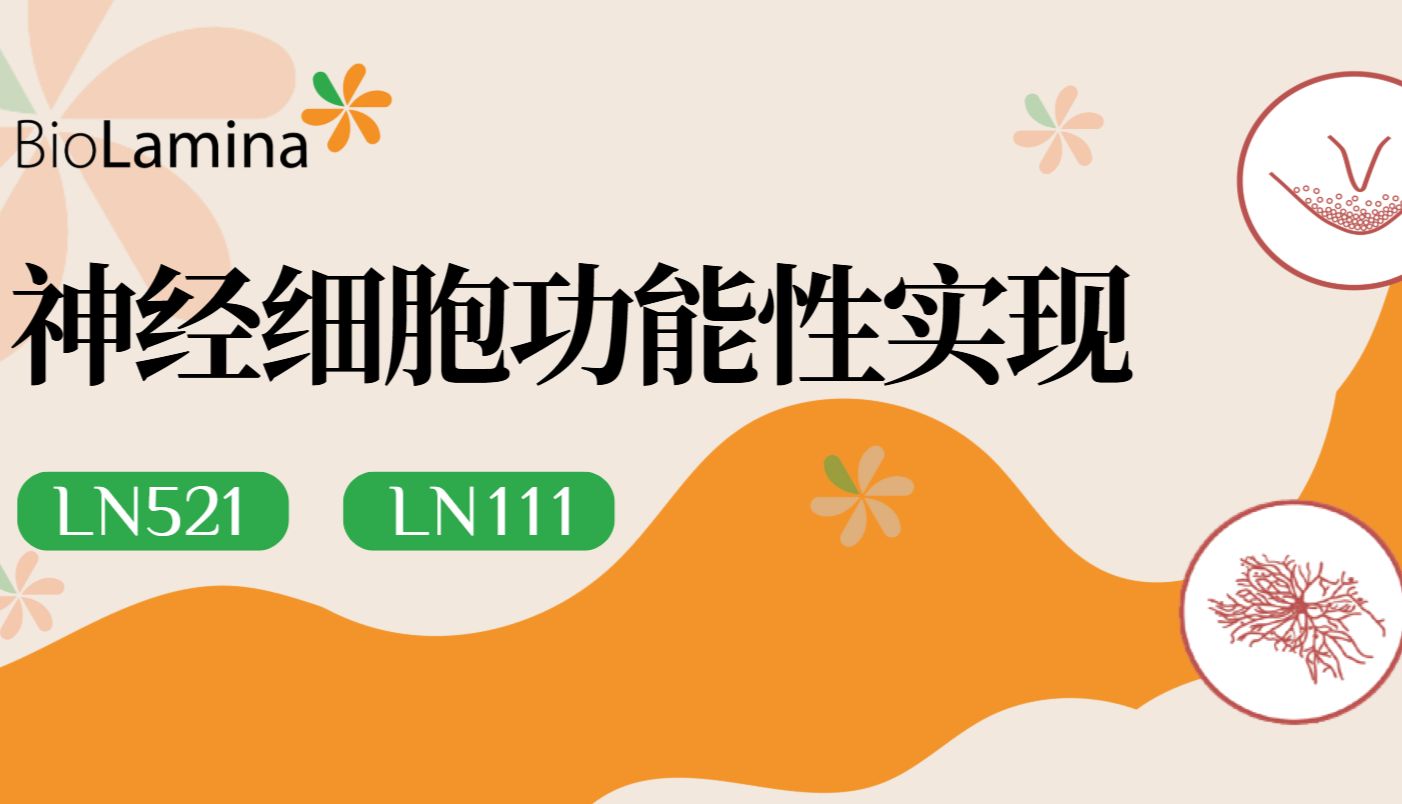 类器官培养难？如何助力神经细胞培养功能性实现？