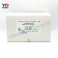 热景生物 总甲状腺素测定试剂盒(磁微粒化学发光免疫分析法)