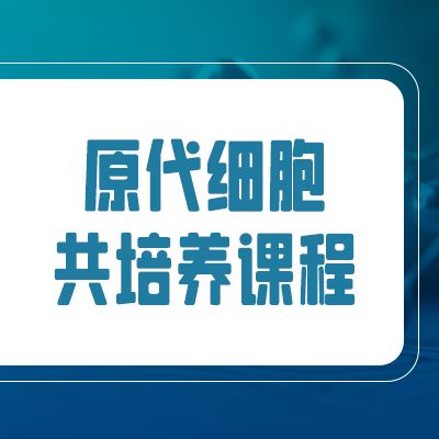 原代细胞共培养课程