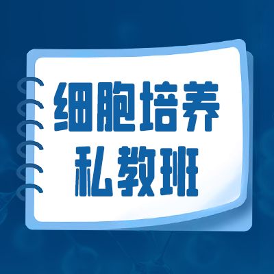 细胞培养全流程标准化操作与关键问题解析