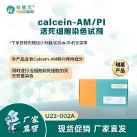 calcein-AM/PI活死细胞染色试剂