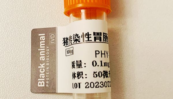 猪传染性胃肠炎N真核蛋白的表达以及活性分析